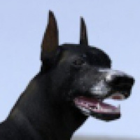 mailmutt