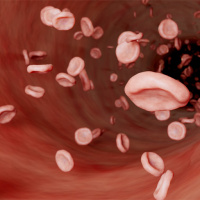 ryroanimation